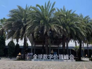 想要玩转2019全球数字价值峰会，这些点你都get到了吗？ 